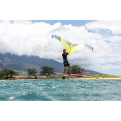Planches De Wing Fanatic BEE 2022 -Magasin de matériel de surf bee 28