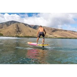 Planches De Wing Fanatic BEE 2022 -Magasin de matériel de surf bee 35