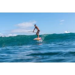 Planches De Wing Fanatic BEE 2022 -Magasin de matériel de surf bee 36