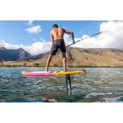 Planches De Wing Fanatic BEE 2022 -Magasin de matériel de surf bee 37