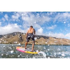 Planches De Wing Fanatic BEE 2022 -Magasin de matériel de surf bee 38