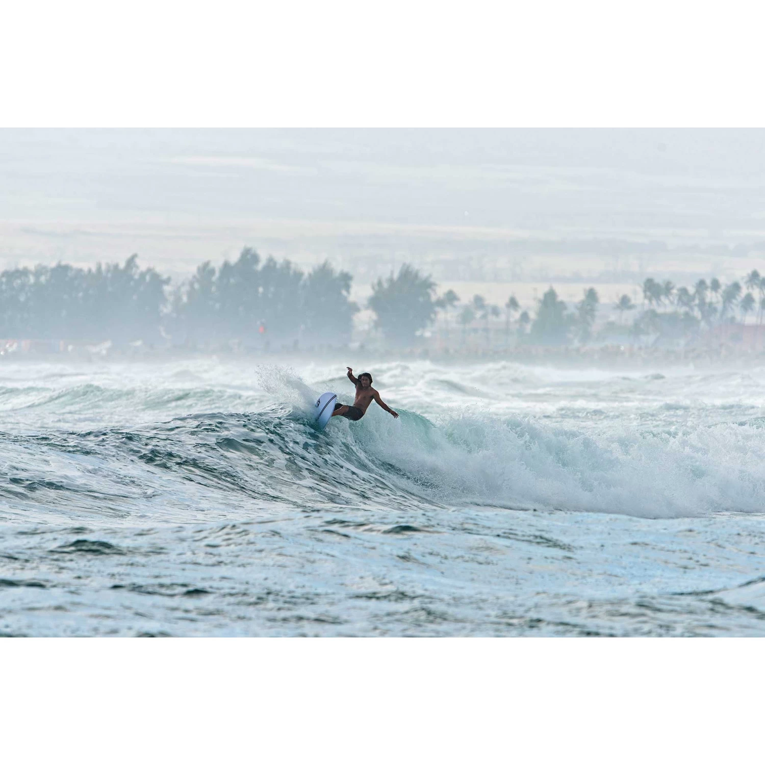 Planches Surf Fish KT Surfing Traveler 13 Planches Surf Fish KT Surfing Traveler – Image 13
