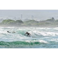 Planches Surf Fish KT Surfing Traveler 27 Planches Surf Fish KT Surfing Traveler -Magasin de matériel de surf traveler 7